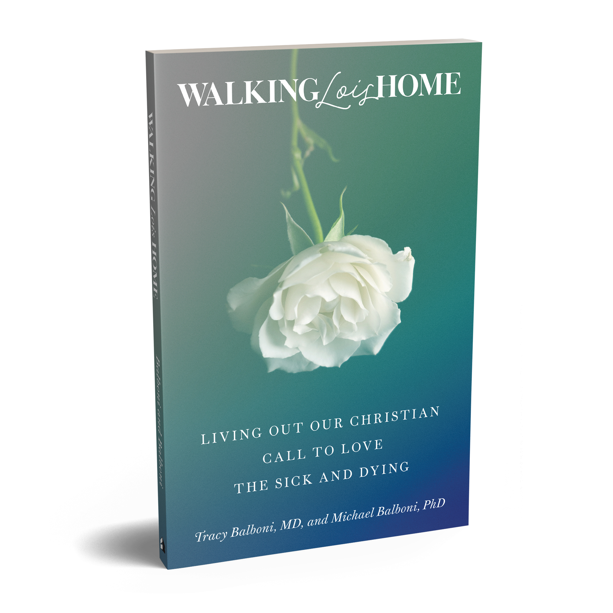 Book cover of Walking Lois Home by Tracy and Michael Balboni