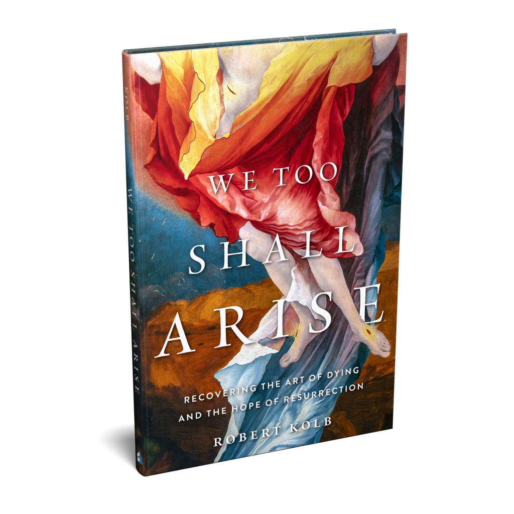 Book cover of We Too Shall Rise by Robert Kolb
